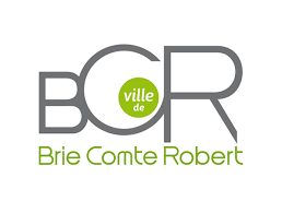 Taxi conventionne brie comte robert