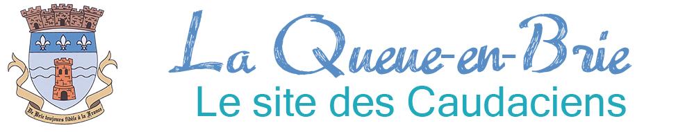 Taxi conventionne la queue en brie